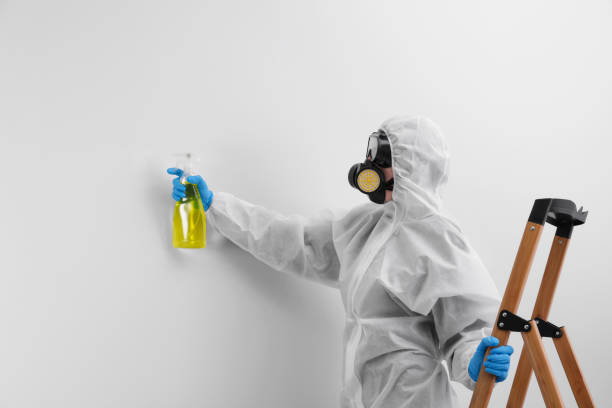 Why You Should Choose Our Mold Remediation Services in Mineville, NY